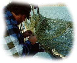Mending a Net