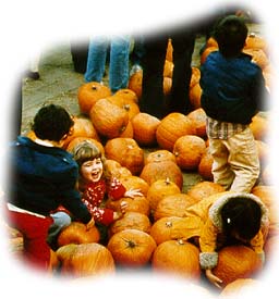 Pumpkin Image