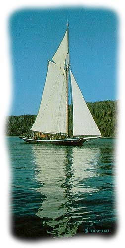 Clearwater Sloop