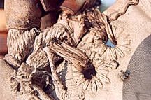 Worn Seizing at Clew