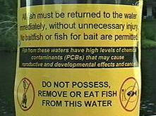 NO FISHING Sign