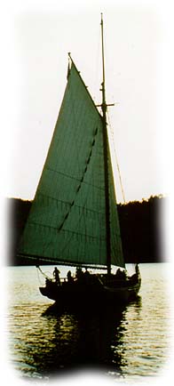 Sunset Image
