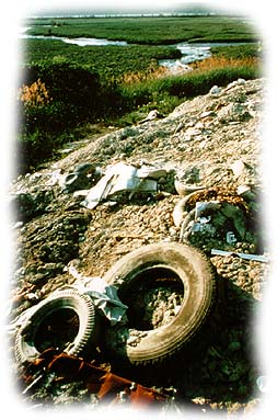 Tire in a Dump