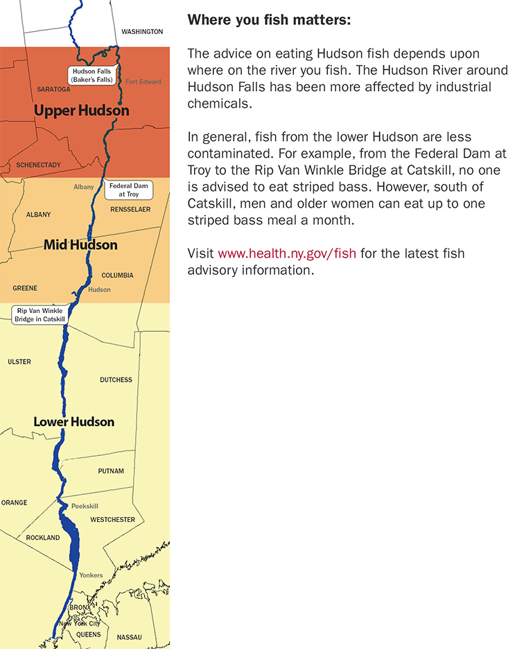 Where you fish matters: The advice on eating Hudson fish depends upon where on the river you fish. The Hudson River around Hudson Falls has been more affected by industrial chemica s. In general, fish from the lower Hudson are less contaminated. For example, from the Federal Dam at Troy to the Rip Van Winkle Bridge at Catskill, no one is advised to oat striped bass. However, south of Catskill, men and older women can eat up to one striped bass meal a month. Visit www.health.ny.gov/fish for the latrest advisory information.