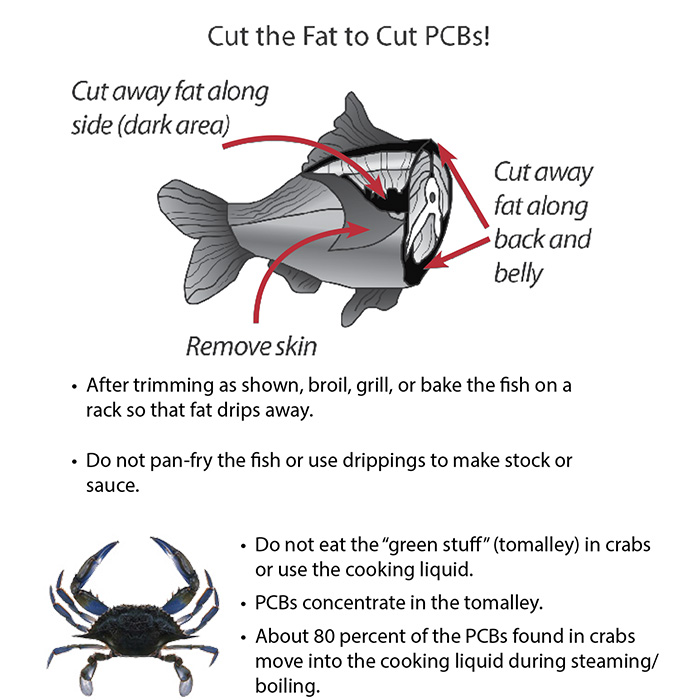 Cut the Fat to Cut PCBs!