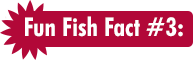 Fun Fish Fact #3: