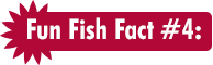 Fun Fish Fact #4