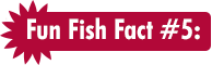 Fun Fish Fact #5