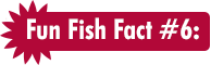 Fun Fish Fact #6