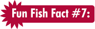Fun Fish Fact #7