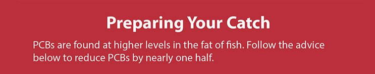 Preparing Your Catch PCBs are found at higher levels in the fat offish. Follow the advice below to reduce PCBs by nearly one half.