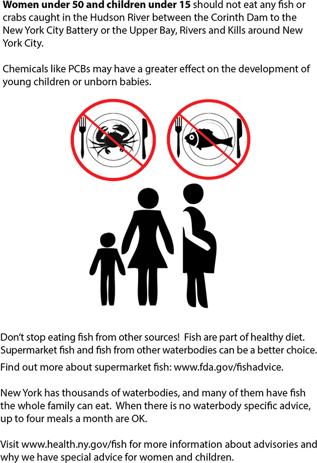 Women under 50 and children under 15 should not eat any fish or crabs caught in the Hudson River between the Corinth Dam to the New York City Battery or the Upper Bay, Rivers and Kills around New York City. Chemicals like PCBs may have a greater effect on the development of young children or unborn babies.