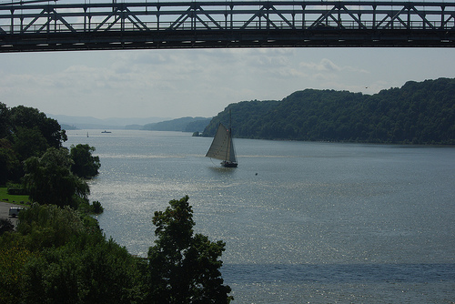 Estuary
