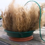 Eel Mop