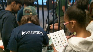 Volunteers in the Classroom