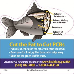 Cut the fat graphic