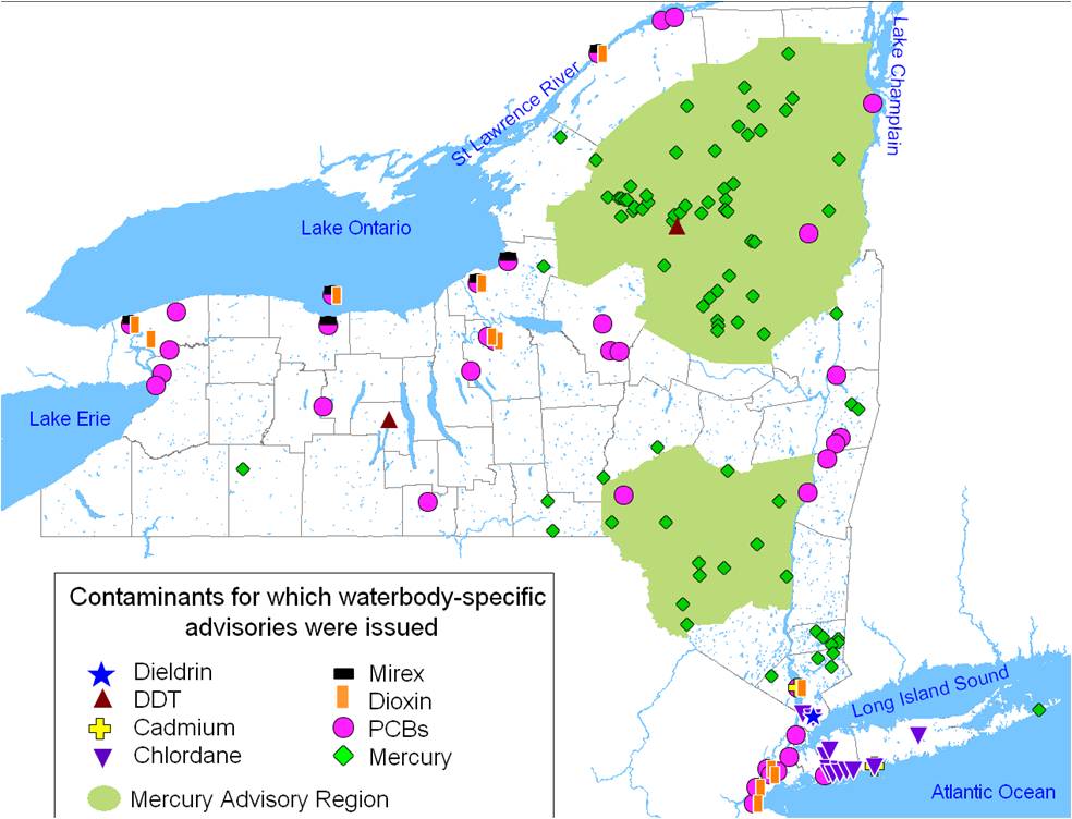 NYS map (1)