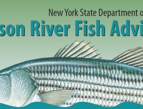 Fish Advisory: March 2021