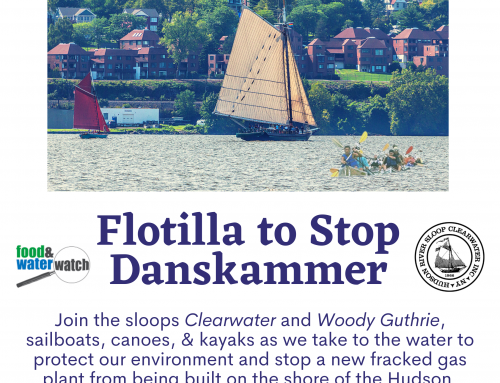 Flotilla to Stop Danskammer