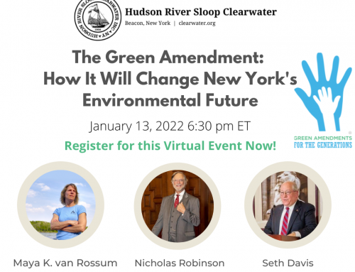 The Green Amendment: How It Will Change NY’s Environmental Future