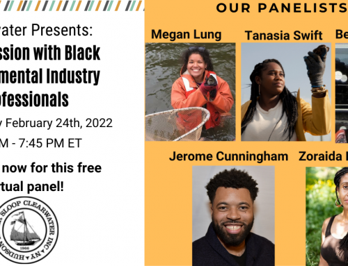 A Discussion with Black Environmental Industry Professionals