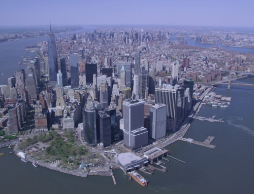 Environmental Action Update February 2023