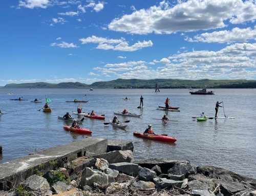 Environmental Action Update October 2023