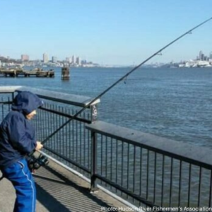 PCBs fishing