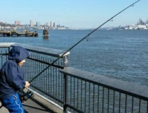 Who, Where, and How Much: Understanding the Hudson River PCB Fish Consumption Advisories