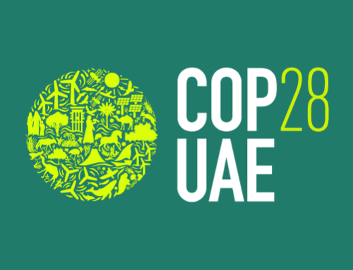 WEBINAR: Reflections from COP28: Climate Change and the Importance of Regional and Local Action