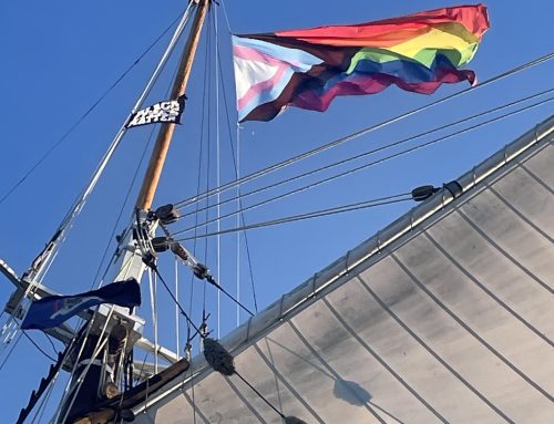 Our Flags – Position and Significance