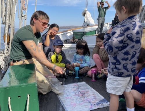 Homeschool Education Sails – Spring 2025