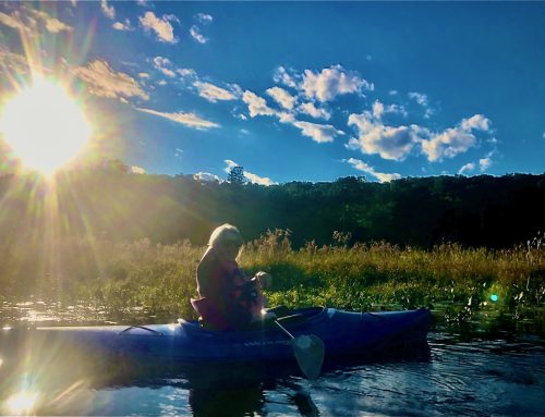 Paddler Profile: Lori Gross