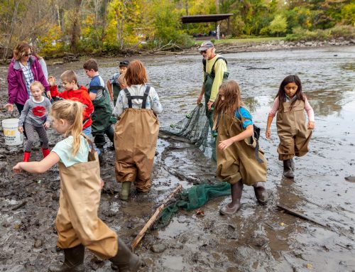 Summer 2026 Community Tideline Programs