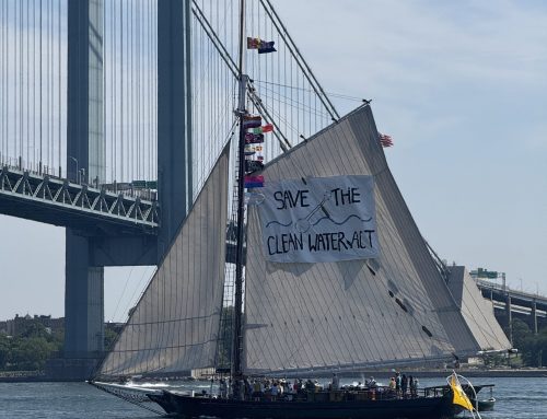 PRESS RELEASE: Protecting Clean Water Is Not Political: Clearwater Statement on Removal from  Sail4th 250 Parade of Sail