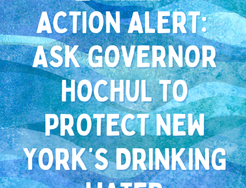 Action alert:  Ask Governor Hochul to Protect New York’s Drinking Water